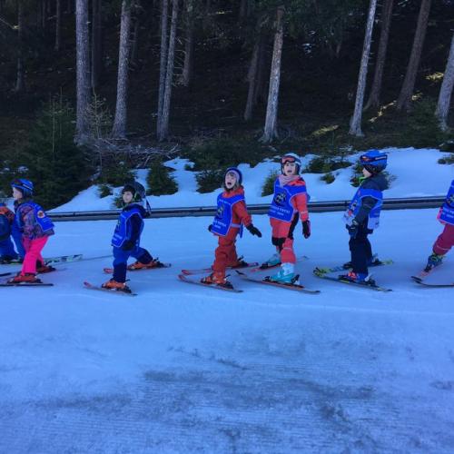Ski 14
