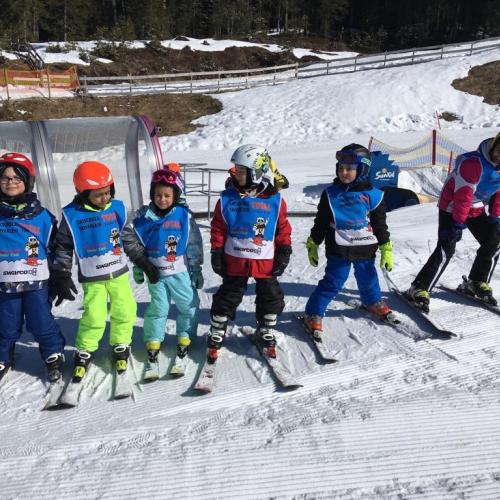 Ski 8