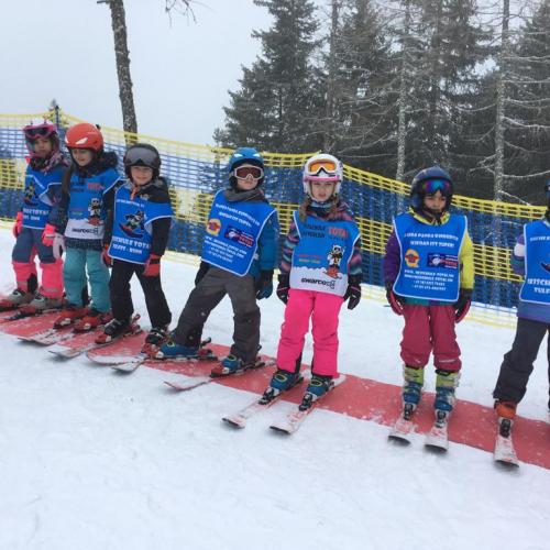 Ski 18