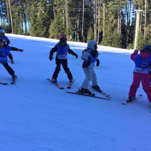 Ski 37