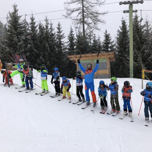 Ski 44
