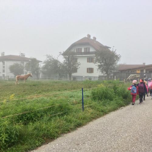 1a_Hotel Heiligkreuz 15