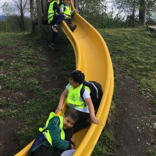 VSS/1a Guggerinsel 12