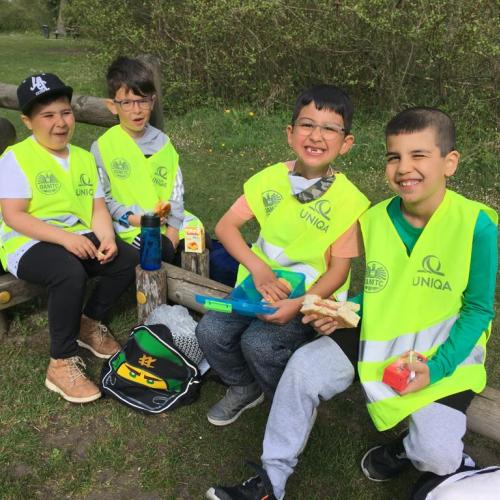 VSS/1a Guggerinsel 9