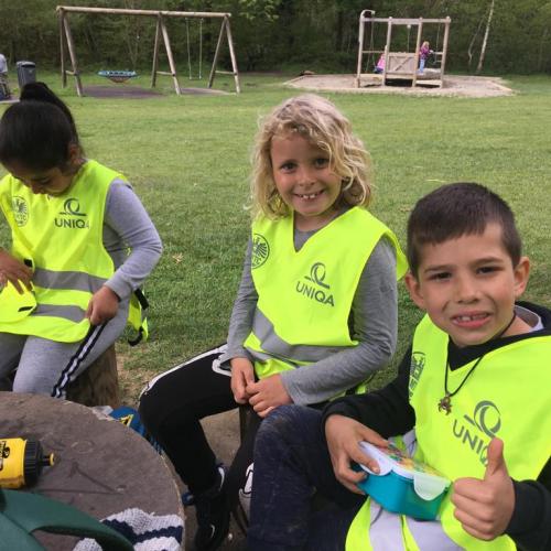 VSS/1a Guggerinsel 10