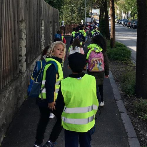 VSS/1a Guggerinsel 11