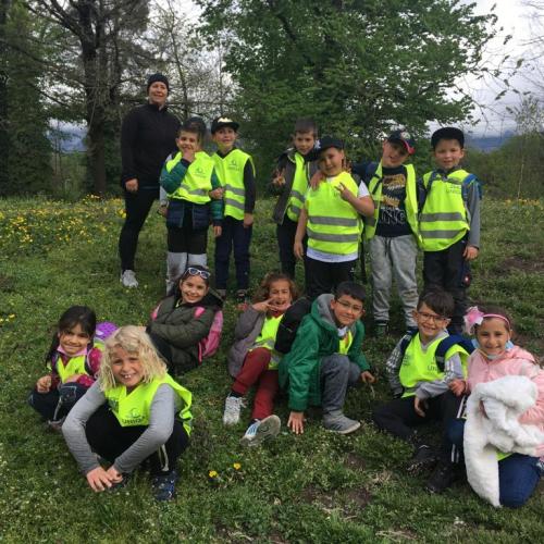 VSS/1a Guggerinsel 1