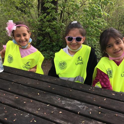 VSS/1a Guggerinsel 8