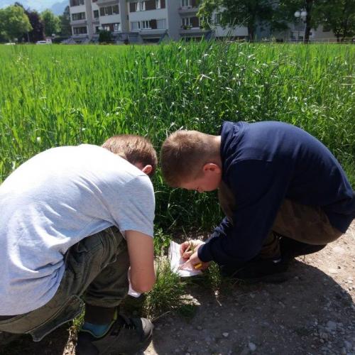 1a_Wiesenforscher 4