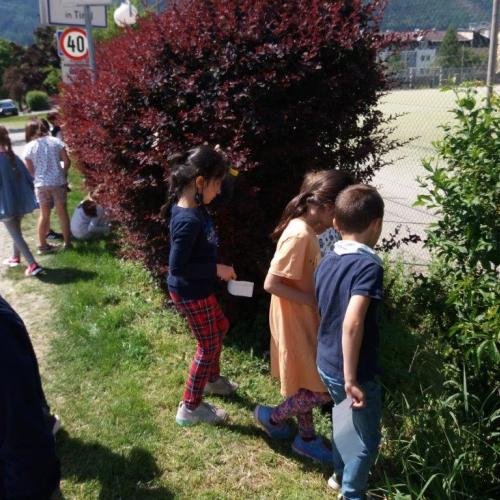 1a_Wiesenforscher 11