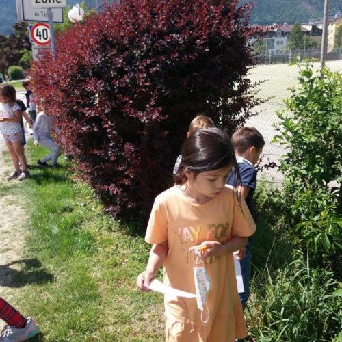 1a_Wiesenforscher 10