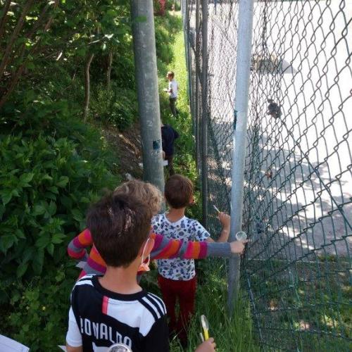 1a_Wiesenforscher 12