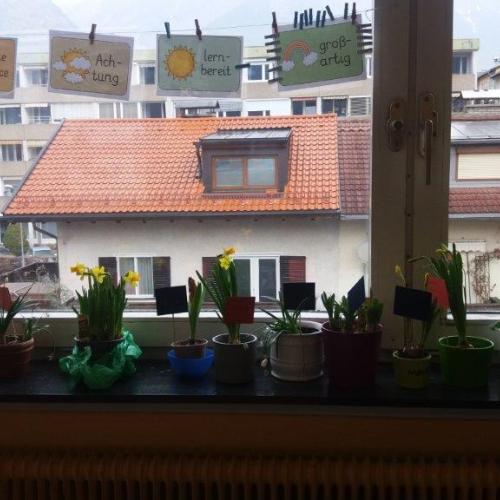 2a Frühling 23