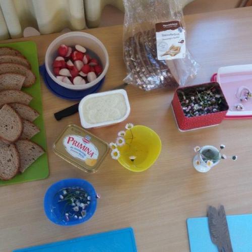 2a_Gänseblümchen 1