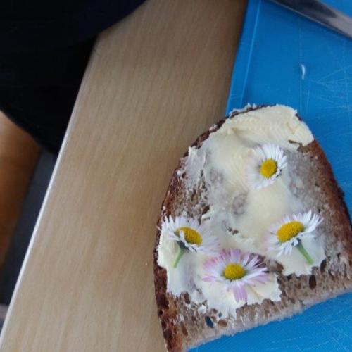 2a_Gänseblümchen 4