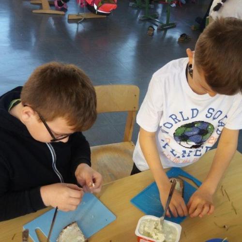 2a_Gänseblümchen 5