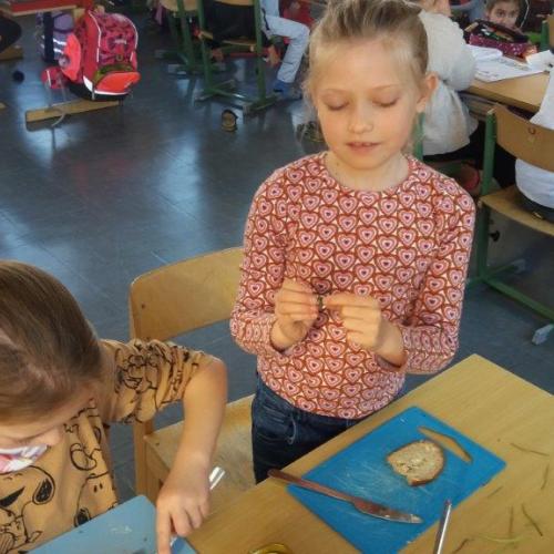 2a_Gänseblümchen 6