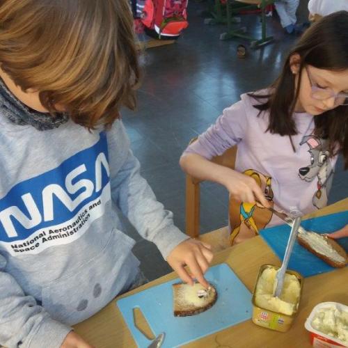 2a_Gänseblümchen 8