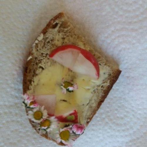 2a_Gänseblümchen 10