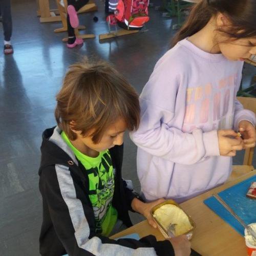 2a_Gänseblümchen 11