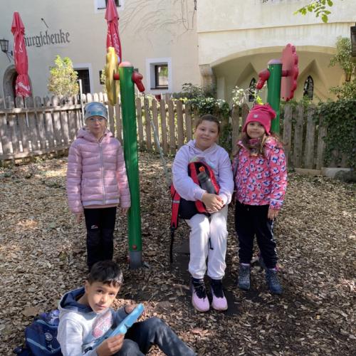 2c Alpenzoo 11
