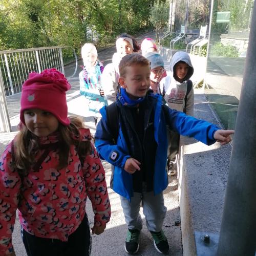 2c Alpenzoo 4