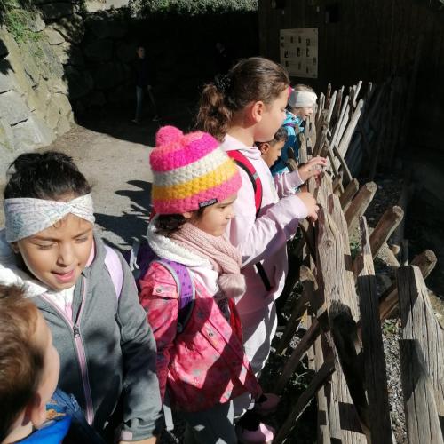 2c Alpenzoo 2