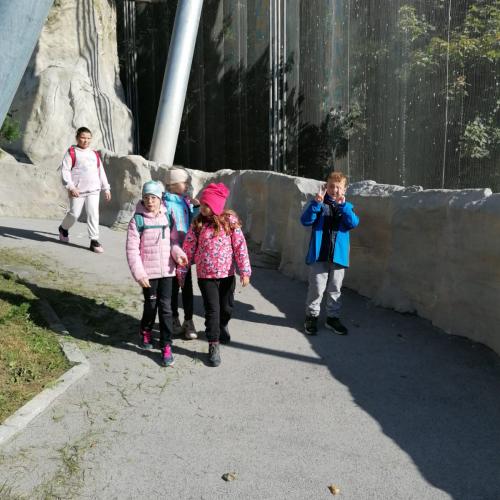 2c Alpenzoo 3