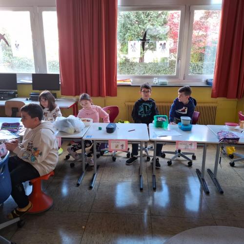 1c, 4c_Obstsalat_16