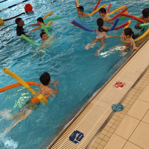 Schwimmen