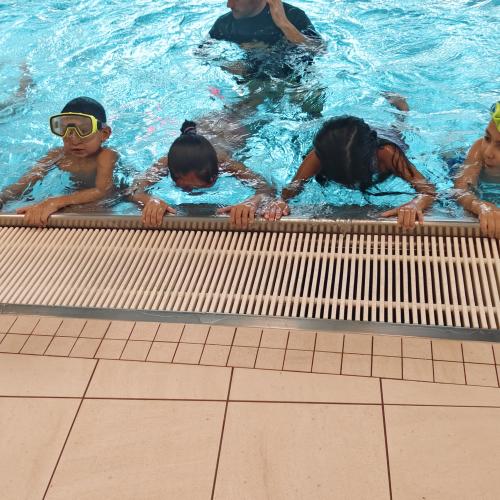 Schwimmen