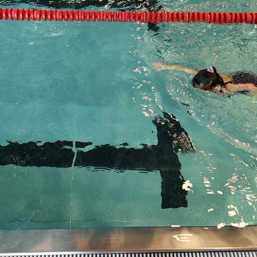 Schwimmen