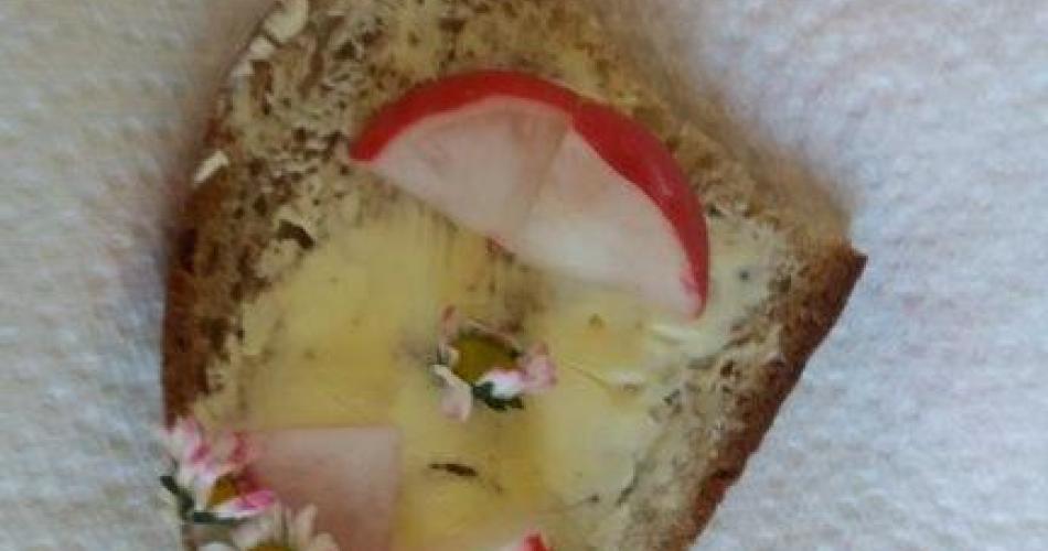 2a_Gänseblümchen 10