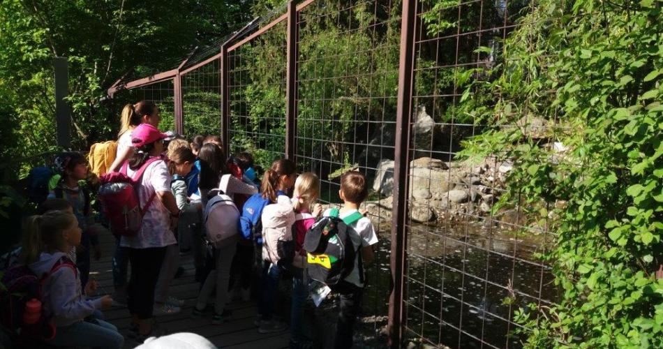 2a Alpenzoo 15